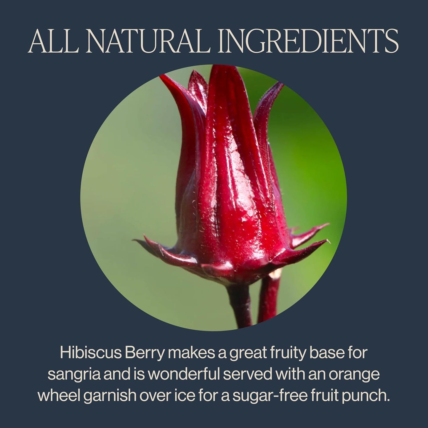 Rishi Tea Hibiscus Berry Organic Herbal Loose Leaf Tea, Caffeine Free, 4oz | Antioxidant Rich, Naturally Sweet Botanical Tea Blend, Enjoy Hot or Iced, Sustainable, 10+ Servings