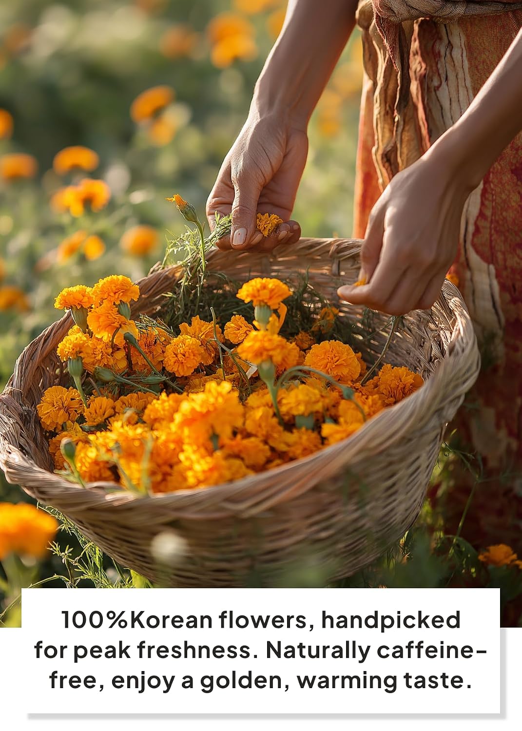 Korean Food KKOKDAM Marigold Flower Tea, Decaf Floral Blend Sugar Free, 10g