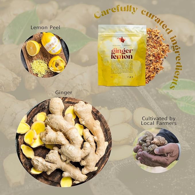 Ginger Lemon Tea, Loose Leaf Herbal Tea – Helps Reduce Nausea and Motion Sickness – Detox & Immunity Support – Drink Hot or Iced