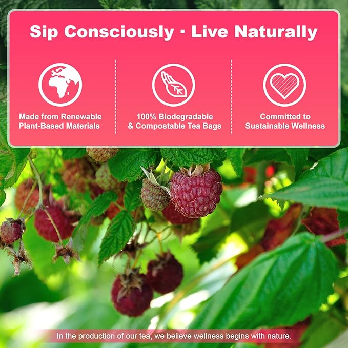 Raspberry Leaf Tea Bags 60 Count - 100% Pure Leaves | Natural Women’s Wellness Cycle Support Herbal Tea | Loose Leaf Caffeine Free