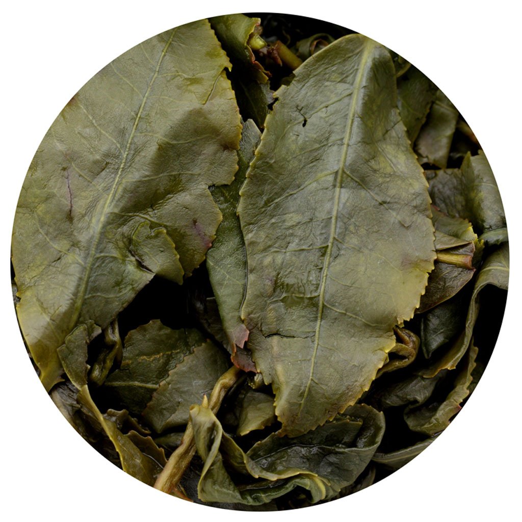 GOARTEA 2Pcs 250g / Total 17.6oz Taiwan Dong Ding Oolong Tea Loose Leaf - Premium Grade Taiwan Tung Ting Green Oolong Tea - High Mountain Dongding Oolong Tea