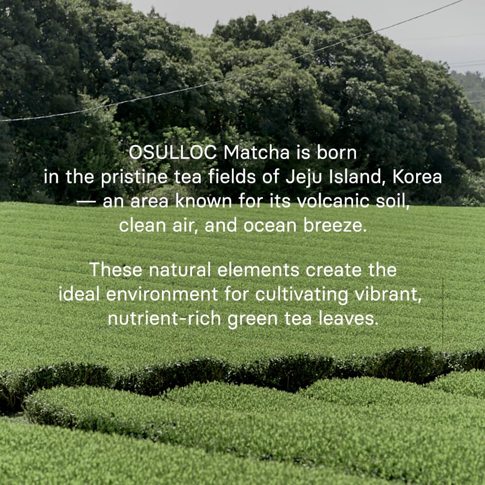 OSULLOC Volcanic Isle Premium Korean Matcha Powder, 60 g | Organic Korean matcha from Jeju’s volcanic soil, crafted for lattes, baking, smoothies, and smooth everyday tea rituals