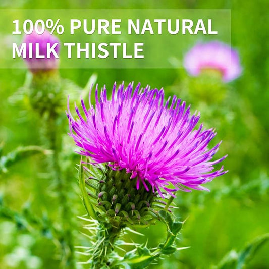 Milk Thistle Tea Bags - 60bags/6.4 OZ 100% Pure & Natural Roasted Milk Thistle Seeds Herbal Tea, Caffeine Free, No Additives, No Sugar, Non-GMO
