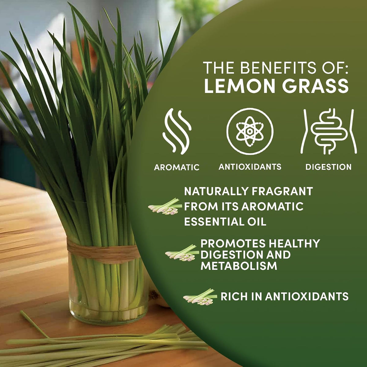 Worldwide Botanicals Organic Lemon Grass Leaves