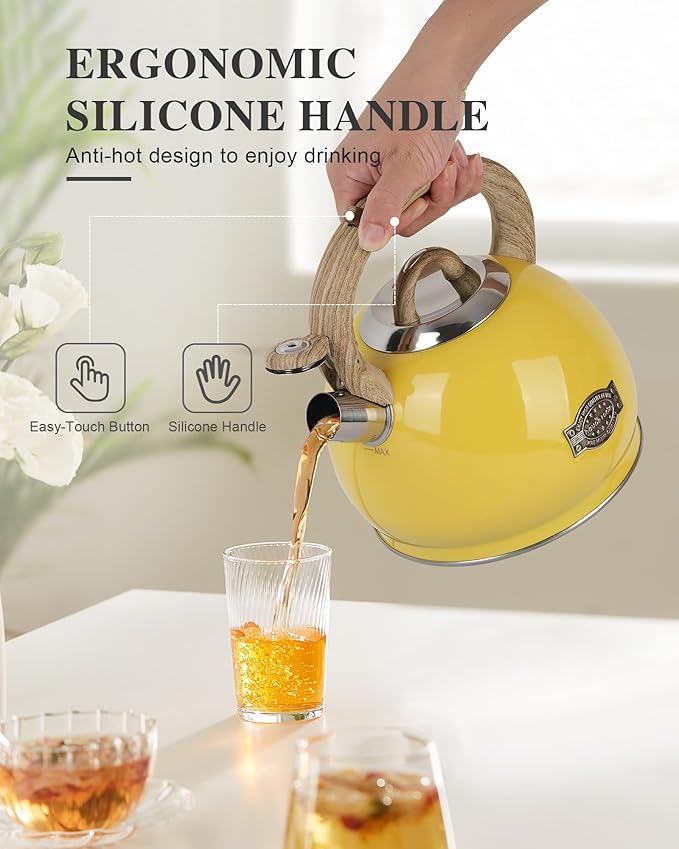 Tea Kettle for Stovetop, 2.7 Quart Loud Whistle Stovetop Teapots,Food Grade Stainless Steel Tea kettles for Stove Top with Anti-hot Ergonomic Handle
