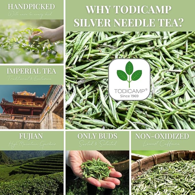 TODICAMP Premium Silver Needle Tea - 3 oz of Premium White Tea Loose Leaf