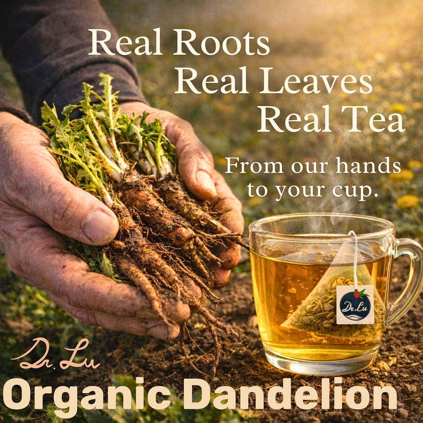 Dr. Lu’s Organic Dandelion Root &amp; Leaf Tea | Wild-Harvested in Eastern Europe | 100% Natural Liver &amp; Detox Support | 30 x 3g High-Intensity Brew Corn Fiber Pyramid Bags (No Plastic, No Nylon)