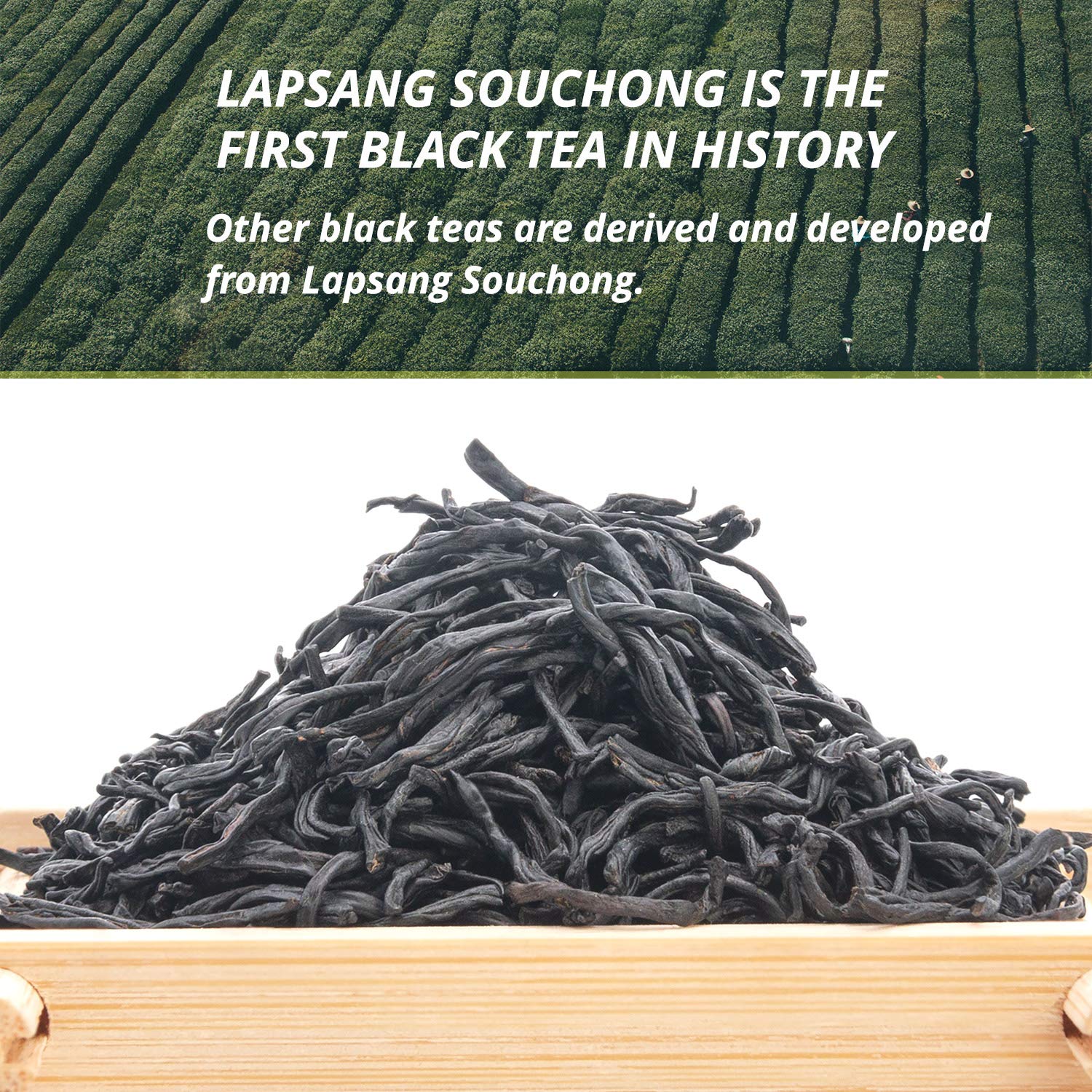 Oriarm Lapsang Souchong Unsmoked Black Tea from Wuyi Mountain- Chinese Loose Leaf Tea Zheng Shan Xiao Zhong without Smoke - 450g Ziplock Resealable Bag