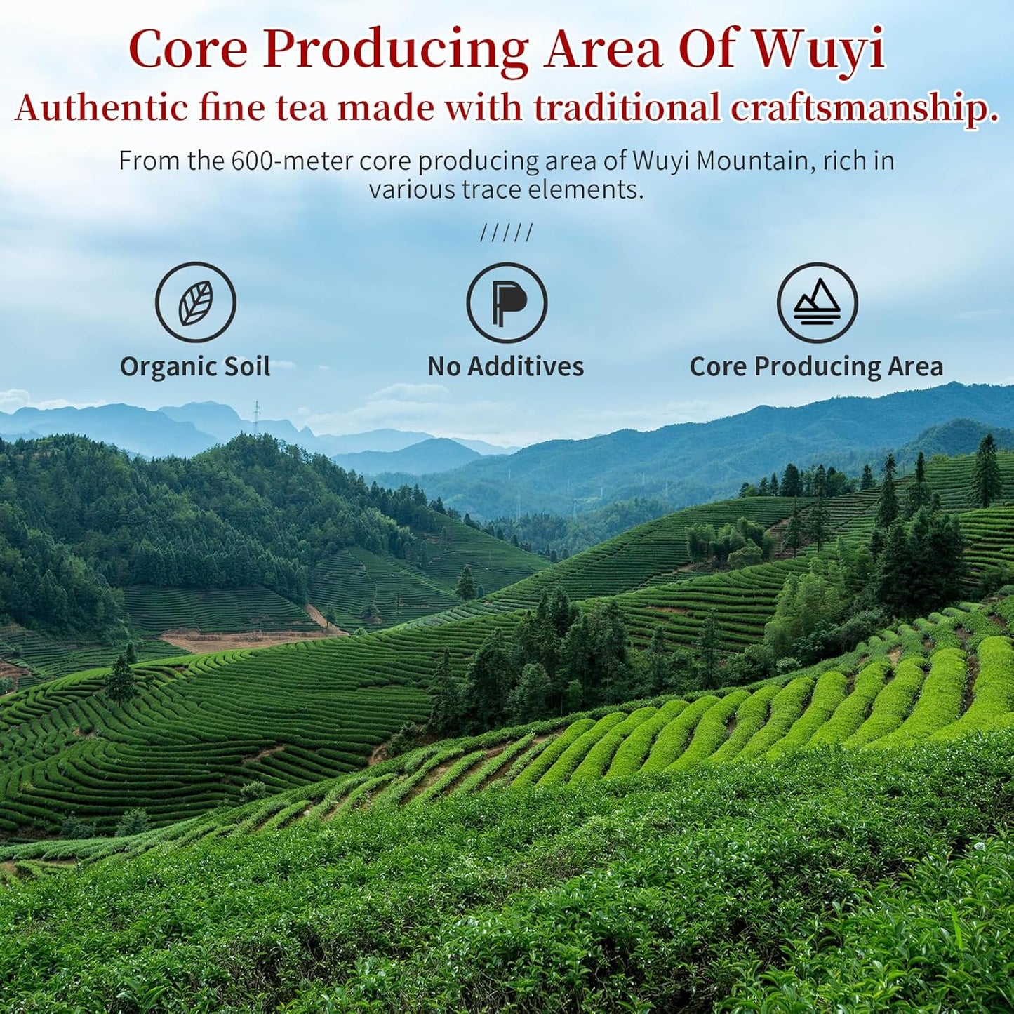 CHADUO Dahongpao Oolong Tea Loose Leaf Da Hong Pao Oolng Tea From Wuyi Mountain Big Red Robe Ulong With Orchid & Caramel Notes Grade AAA Wuyi Rock Tea 120g 4.23oz 特级大红袍 乌龙茶