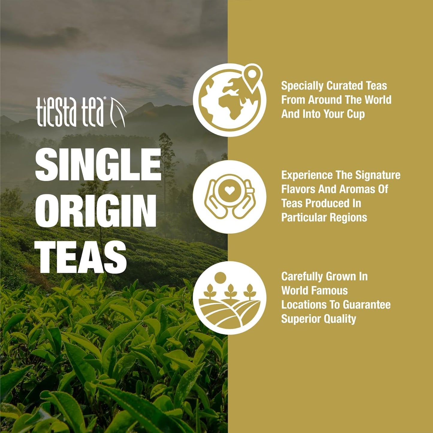 Tiesta Tea Silver Needle White Tea – Premium Loose Leaf, Single-Origin from China | Pure Unblended Low-Caffeine Tea | Hot or Cold Brew | 2.5oz Refillable Tin | Brews 50 Cups