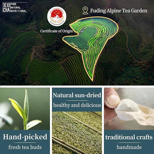 XIXICHA White Tea White Peony Tea 2013 Old White Tea Chinese Tea Fuding Dragon Pearls Tea7oz bai mu dan tea planting-Rich in antioxidants 白茶 白牡丹茶