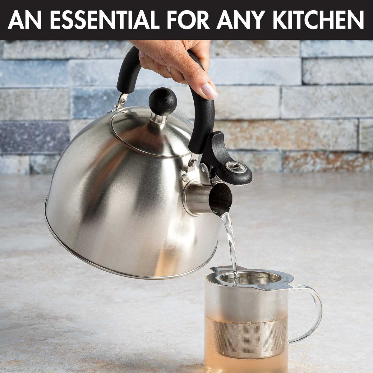 Primula Stewart Whistling Tea Kettle for Stovetop, Stainless Steel Stove Top Kettle with Fast Boil Whistling Spout and Cool