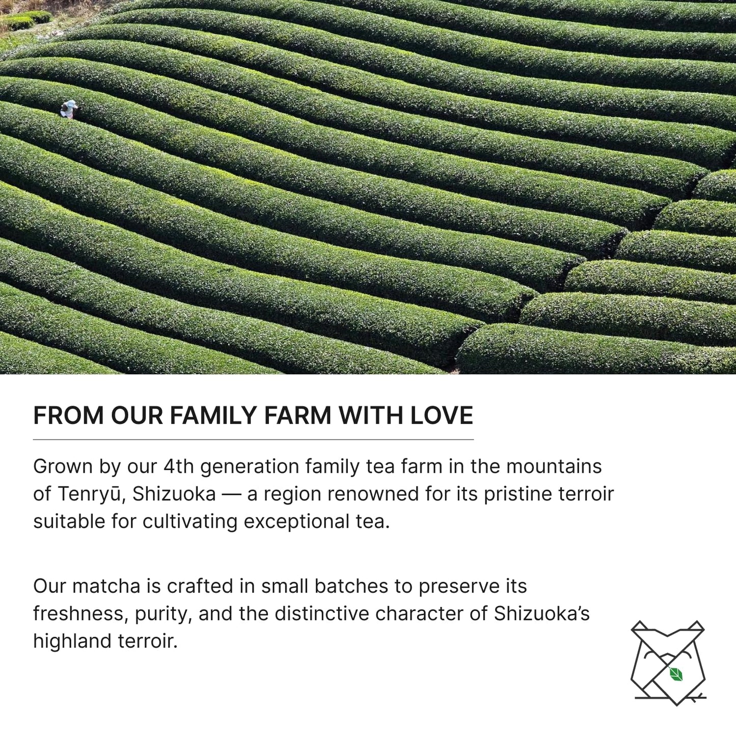 FKRO Organic Saemidori Ceremonial Grade Matcha Green Tea Powder | Single Cultivar 1st Harvest | Stone-Ground, Air-Flown Monthly from Japan | 30g Tin