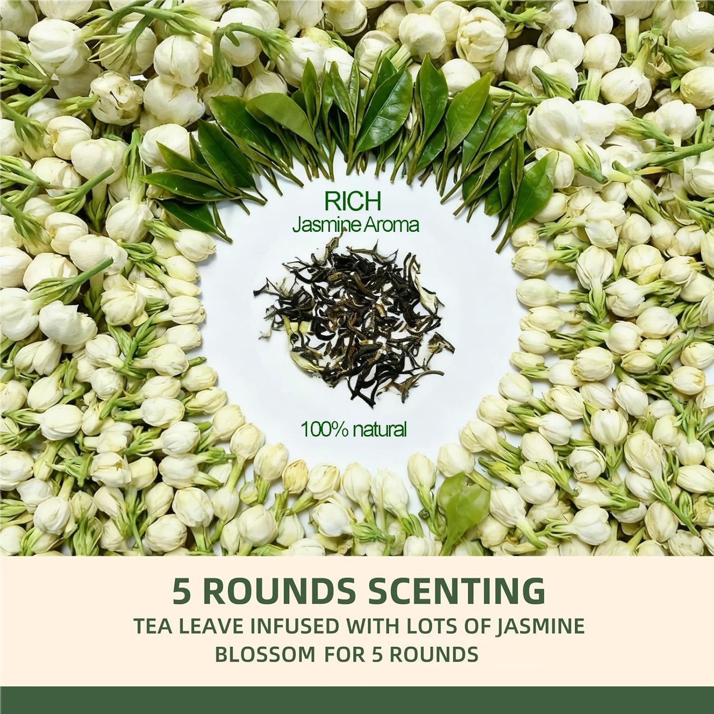 TETWIN Jasmine Green Tea Loose Leaf in PLA Tea Bags, 10ct Samplers in Mini Tin –Smooth Jasmin Aroma & Gift-Ready, party favor