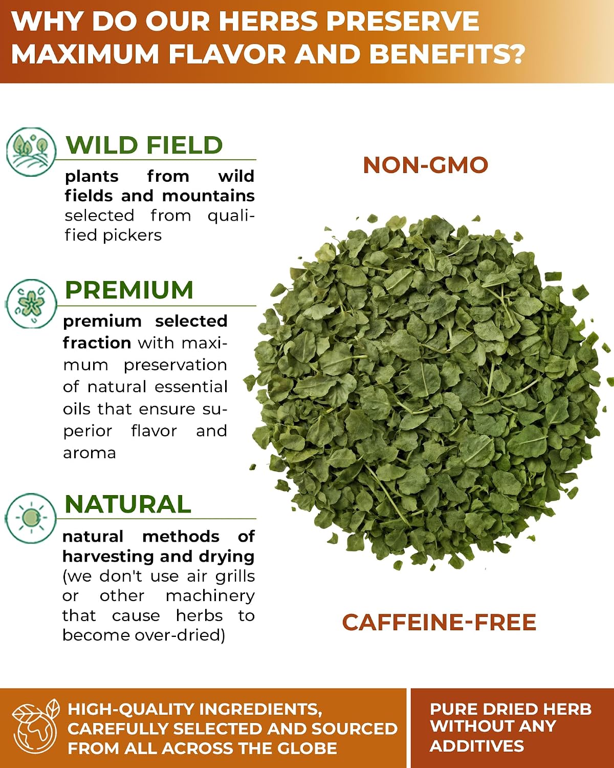 2 oz. Hazel Leaf Herbal Tea (Folium Coryli avellanae)