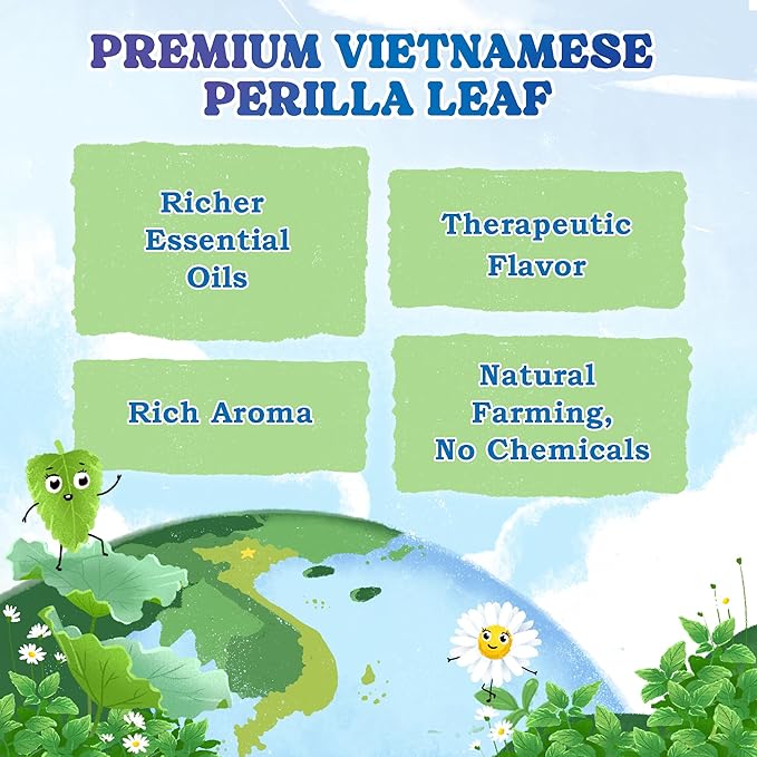 LoveinTea Nighty Night Herbal Tea Bags, 100% Natural Vietnamese Herb Blend, Plant-Based Pyramid Bags, 30 Count