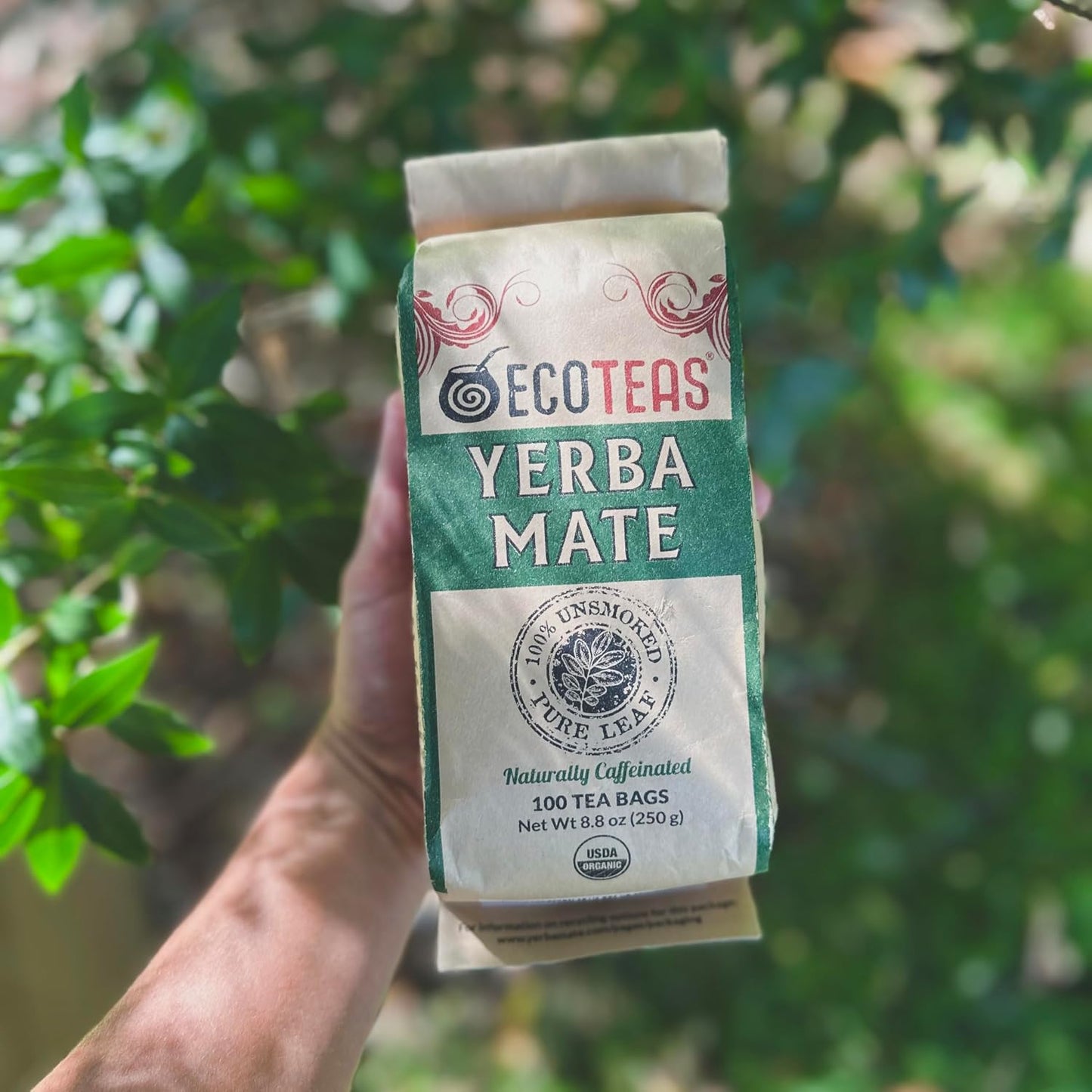 ECOTEAS Organic Yerba Mate Tea Bags Unsmoked 100 Count 8.8 oz Pack of 2 | Organic unsmoked 100 ct pack of 2 200 servings, USDA organic kosher non-GMO, low acid naturally caffeinated