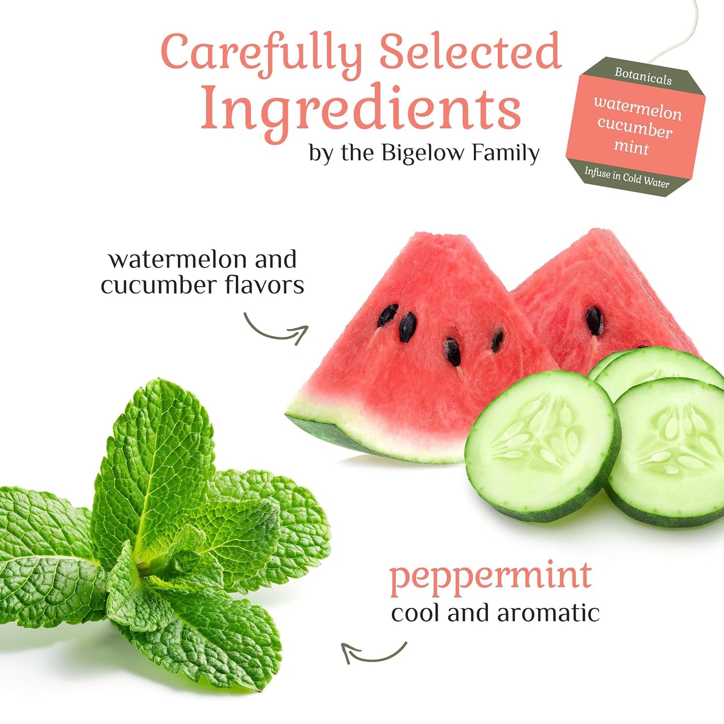 Bigelow Botanicals Watermelon Cucumber Mint Cold Water Infusion | Caffeine Free Herbal Tea with Watermelon, Cucumber and Mint Flavor, 18 Count (Pack of 6), 108 Total Tea Bags