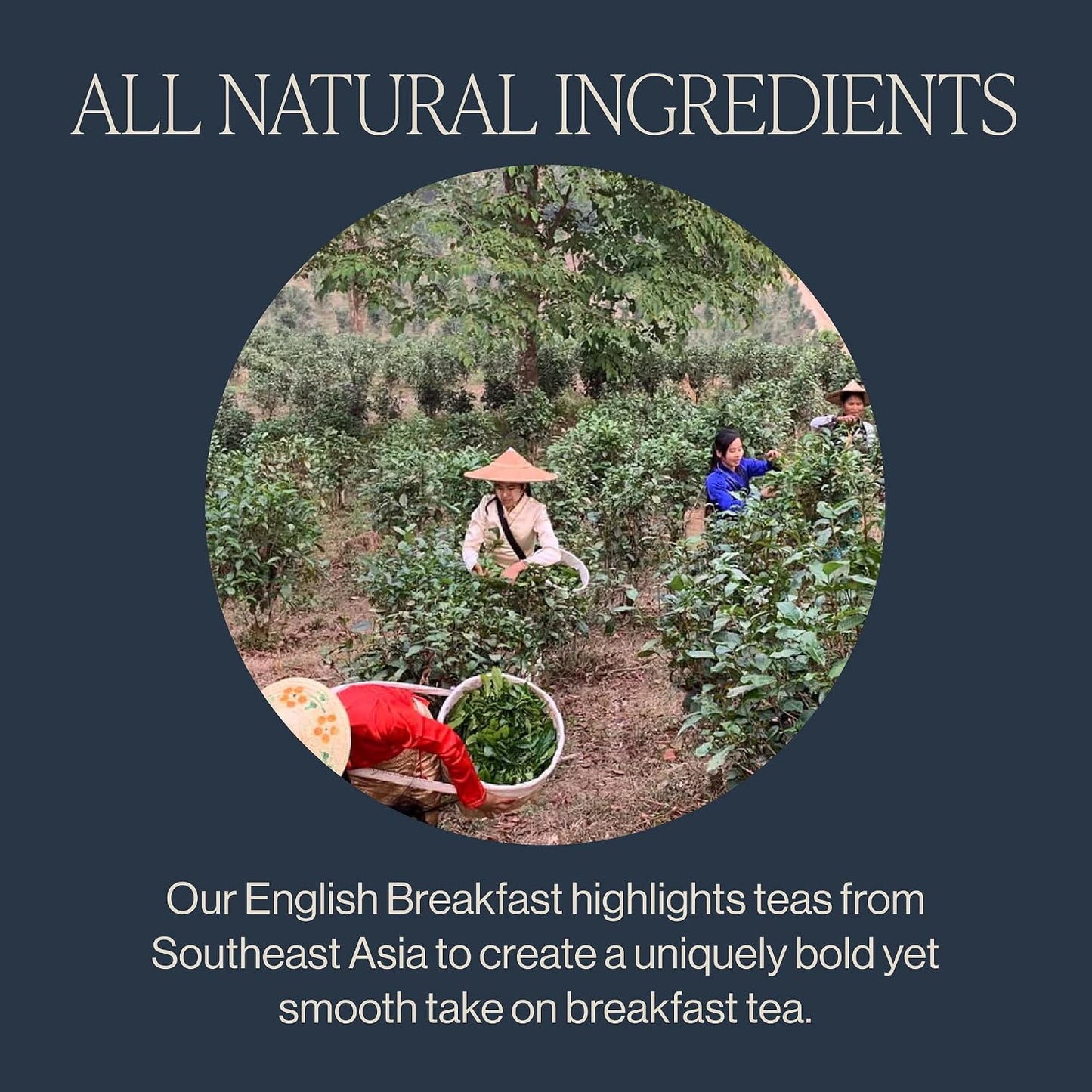 Rishi Tea English Breakfast Organic Black Loose Leaf Tea, Caffeinated, 1lb | Energizing and Strong Pure Black Tea, Enjoy Hot or Iced, Sustainable, 45+ Servings