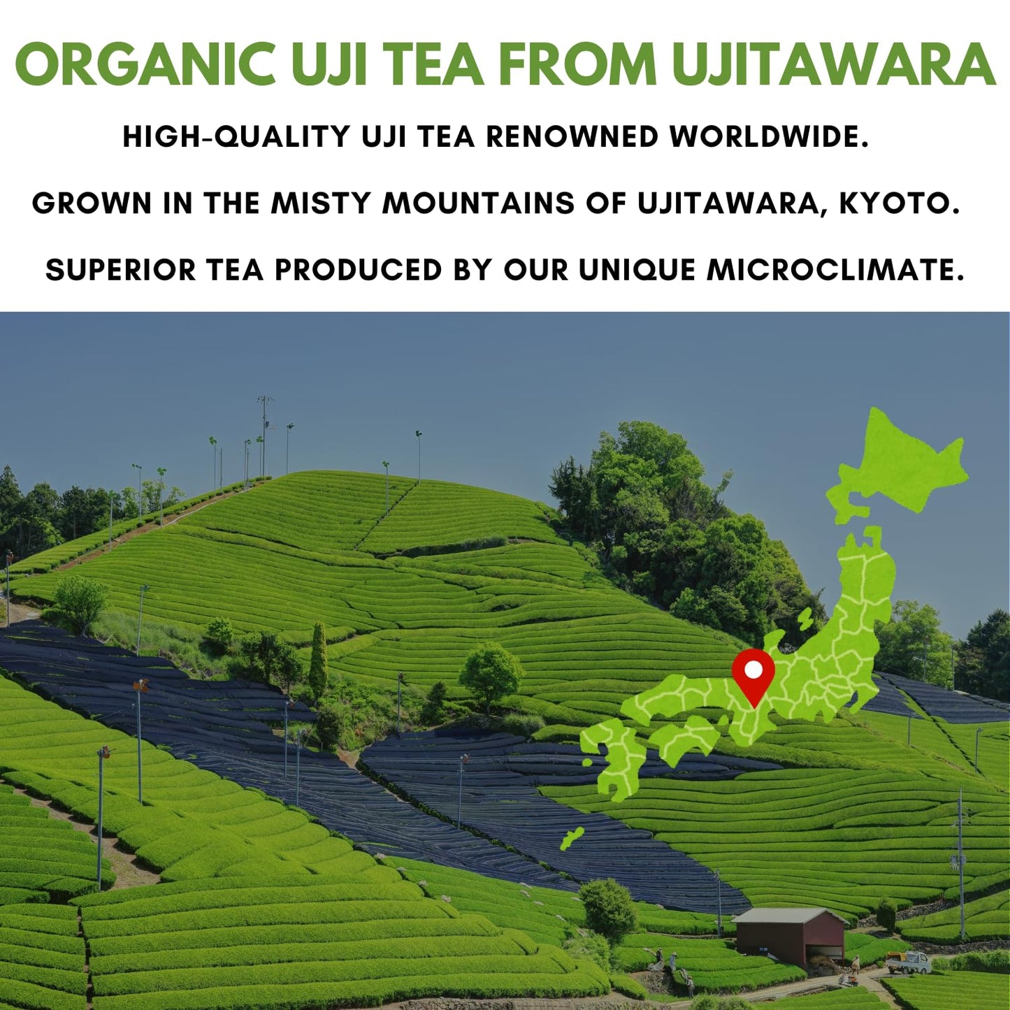 Nagomi Matcha Organic Superior Ceremonial Grade Matcha Green Tea Powder - 100% Authentic Japanese First Harvest from Uji, Kyoto (30g / 1.06oz)