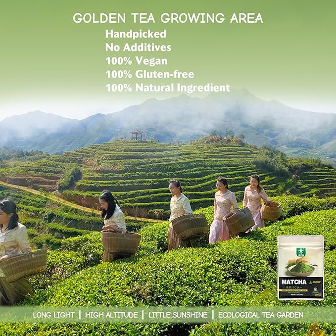 TIAN HU SHAN Matcha Green Tea Powder 3.5oz/100g, Pure Matcha Powder Culinary Grade Unsweetened for Lattes, Cooking, Baking, Vegan 100% Natural （Package May Vary)
