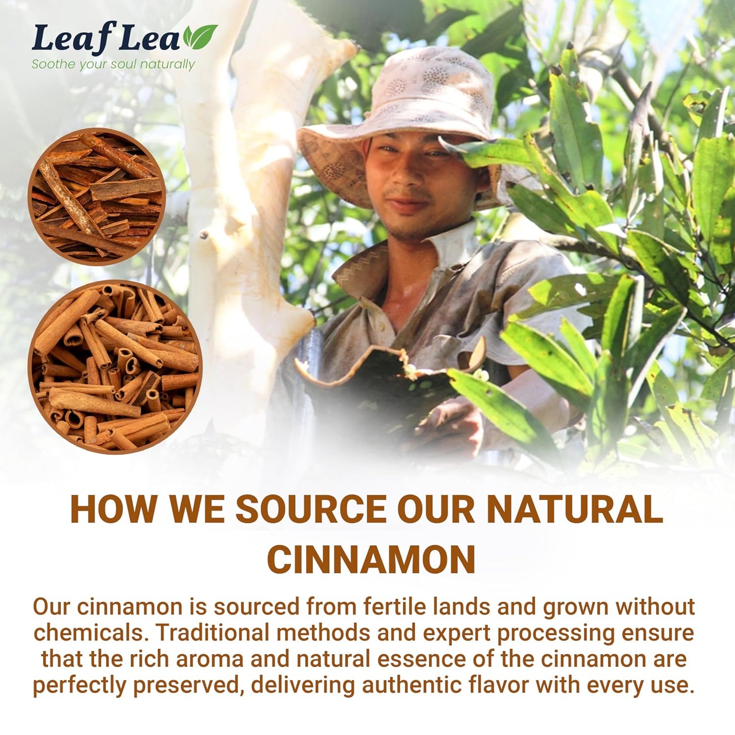 LeafLea Cinnamon Tea Bags, Warming Spice Family Value, 120 Count | Pure Single-Ingredient Cinnamon, Sugar-Free, Caffeine-Free, Individually Foil-Wrapped, 3-Box Stock-Up, Vegan, Non-GMO