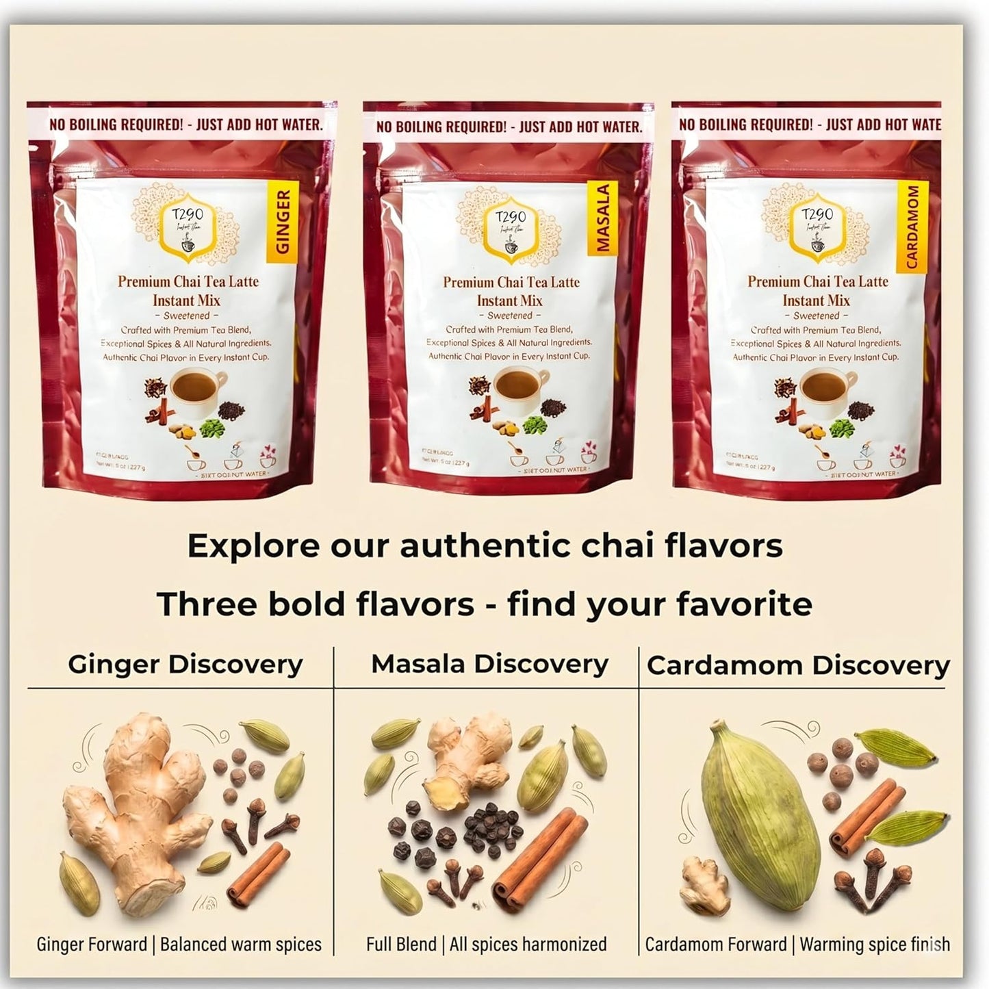 T2GO Instant Ginger Chai Latte Powder – Authentic Indian Chai Tea Mix | Low Sugar | Instant Chai Latte