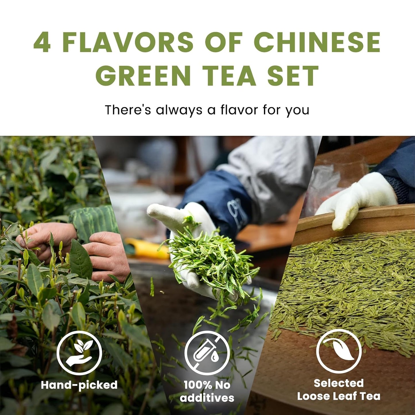 iTeaworld 4 Styles Chinese Green Tea Sampler, Beginner Tasting Kit (2.01oz)