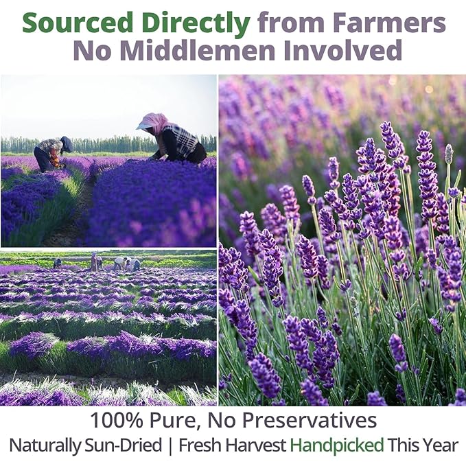 Dried Culinary Lavender – 100% Natural Food Grade Lavender Buds Herbs Tea, 3.53oz (100g), Edible Lavenders Flowers for Drinks, Baking, Cooking, Tea