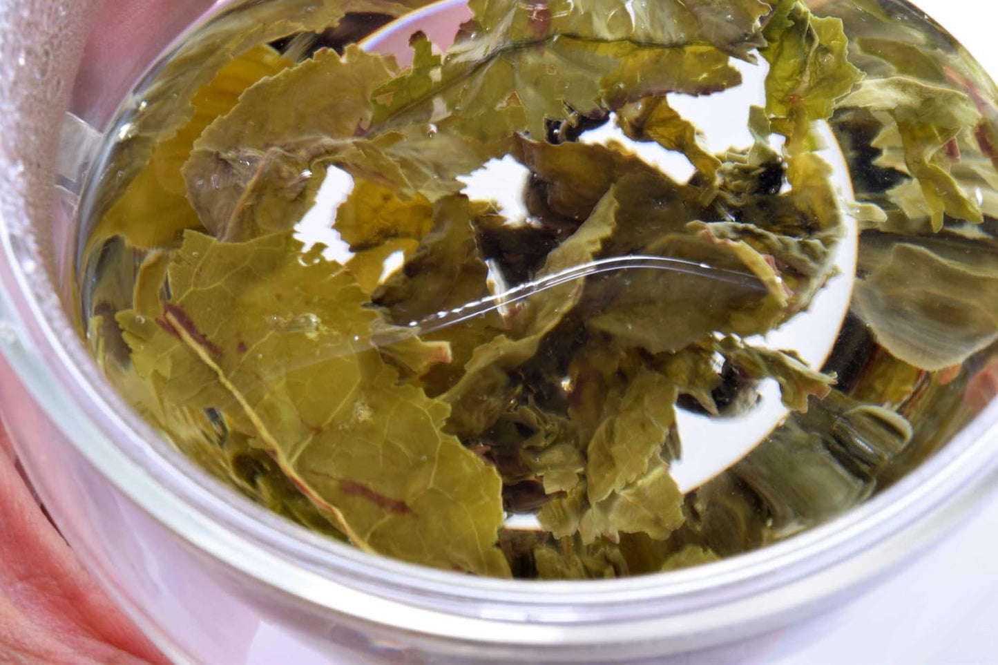 T7 TEA Ti Kuan Yin (3 oz)