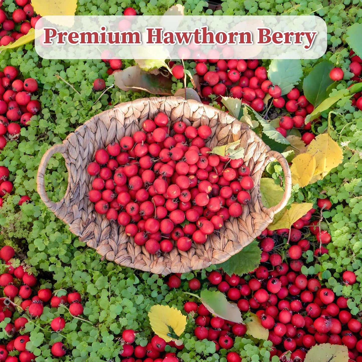 FullChea - Hawthorn Berry Tea Bags, 50 Count, Dried Hawthorn Berries