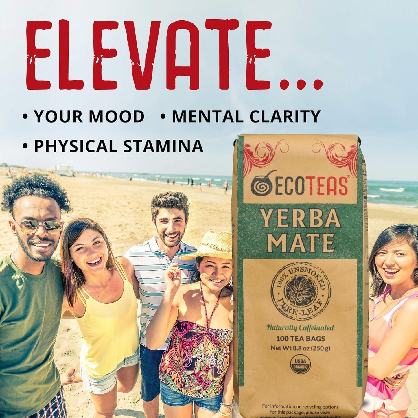 ECOTEAS Organic Yerba Mate Tea Bags Unsmoked 100 Count 8.8 oz Pack of 2 | Organic unsmoked 100 ct pack of 2 200 servings, USDA organic kosher non-GMO, low acid naturally caffeinated