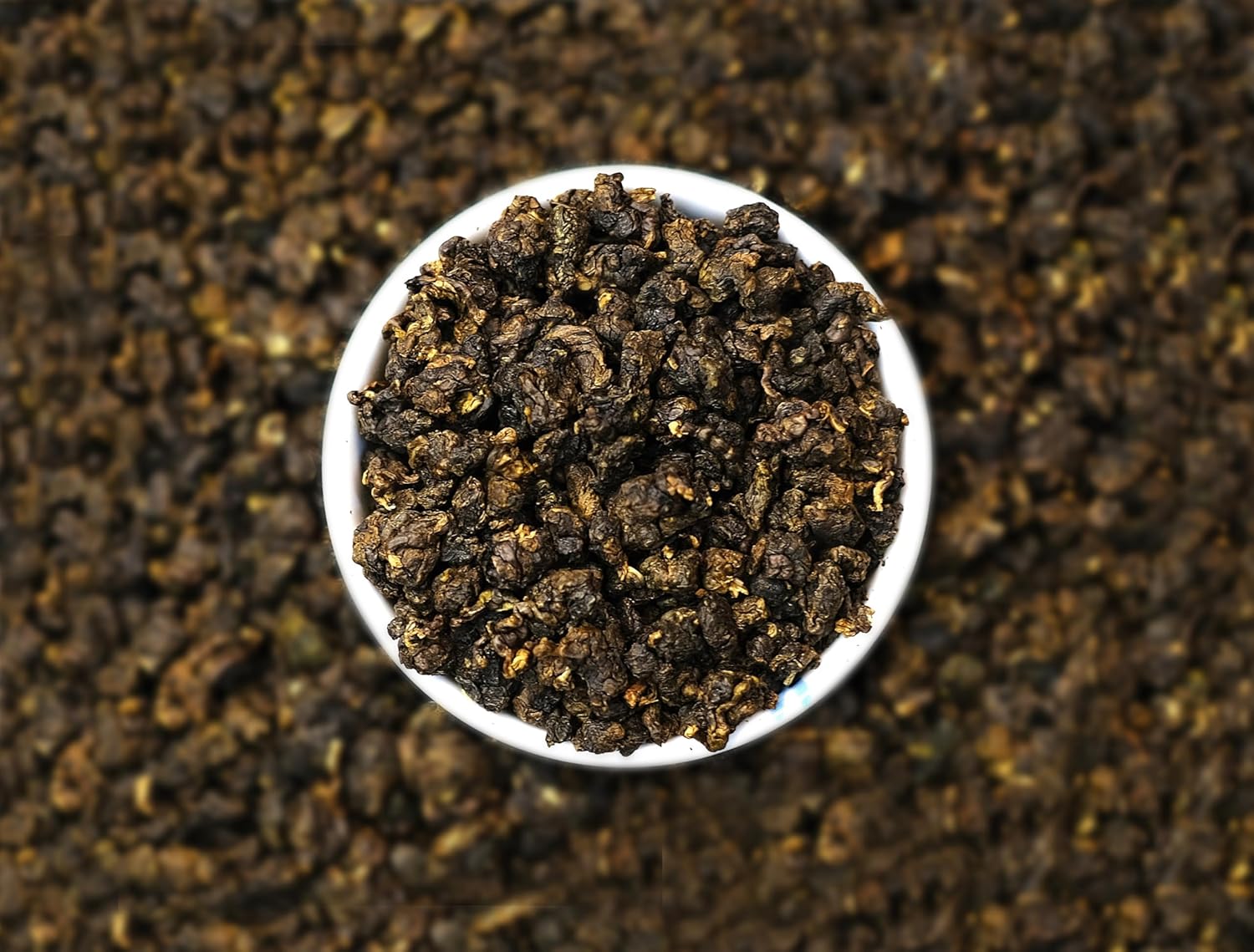 QuaZenTea GABA Oolong Tea Loose Leaf 3.5oz (100g) – Vietnamese High Mountain Oolong, Smooth & Mellow with Roasted Fruit Aroma and Sweet Finish – Gabba Wu Long Tea for Natural Calm Focus & Relaxation, Coffee Alternative