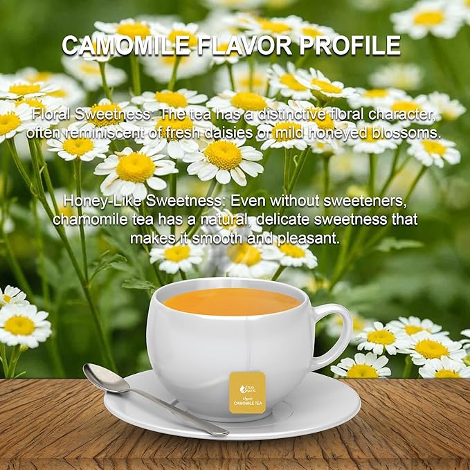 True Organic Premium Chamomile Tea, 100 Count Tea Bags, USDA Organic & Kosher Certified, 100 Envelop Organic Chamomile Tea Bags for Your Home & Cafe.