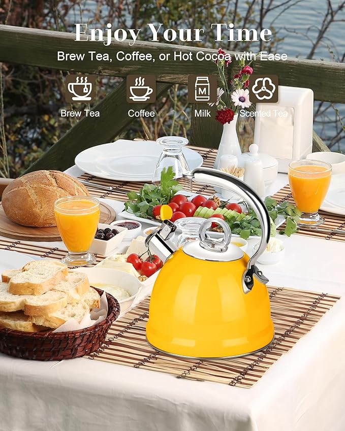 Harriet Tea Kettle Stovetop, 2.5 QT Whistling Stainless Steel Teapot, 3-Layer Base, Unique Ergonomic Handle, Includes Pot Holder & Mat