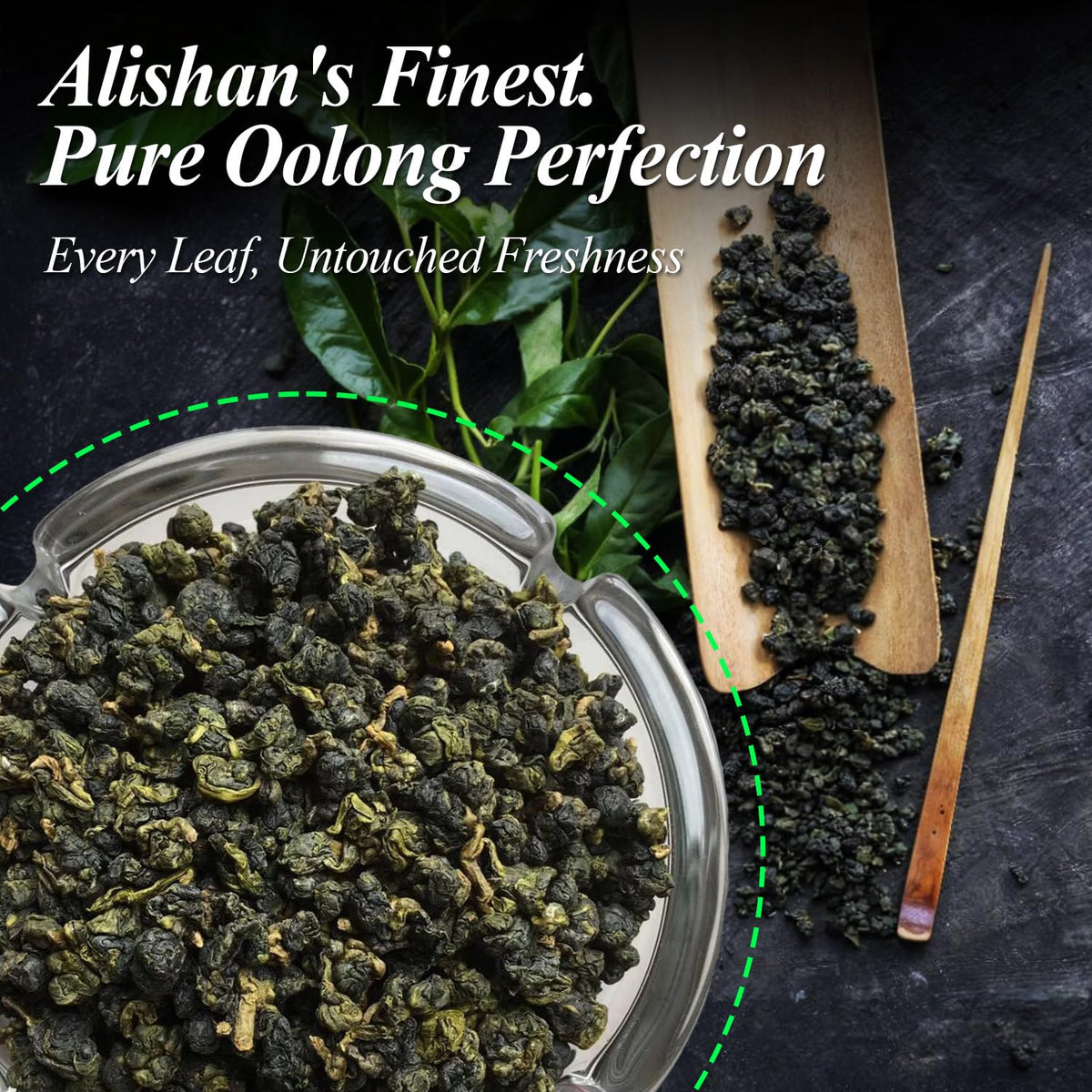 ZONE - 365 Oolong Tea Loose Leaf, Taiwanese Alishan High Mountain Roast