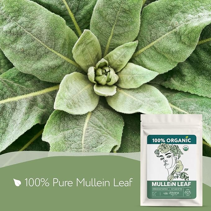 Organic Mullein Tea Loose Leaf (2oz.) – Mullein Leaf Tea Loose - Mullien Herb – Mullen Leaves - Mullin - Natural Alternative