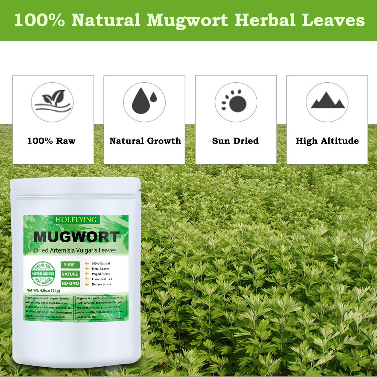 HOLFLYING Dried Mugwort Leaves, 4oz(114g), Natural Artemisia Vulgaris Herb Loose Leaves, 100% Natural Mugwort Tea, No Gmo