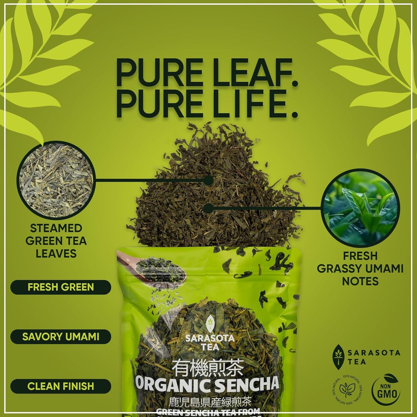 Organic Japanese Sencha Green Tea Loose Leaf | Premium Green Tea from Kagoshima Prefecture | 100% USDA Organic | Fresh & Grassy Flavor | 3oz Bag | High Antioxidants | Non-GMO