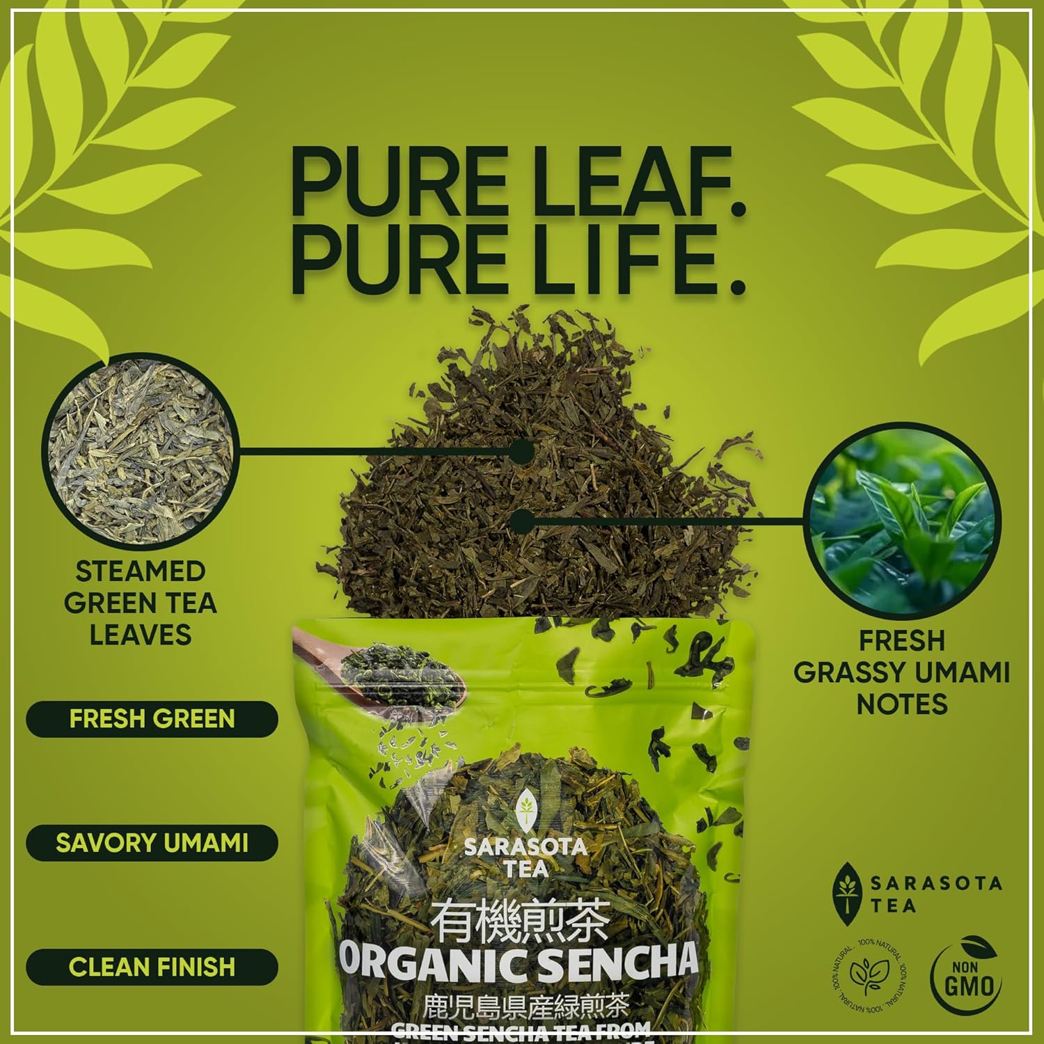 Organic Japanese Sencha Green Tea Loose Leaf | Premium Green Tea from Kagoshima Prefecture | 100% USDA Organic | Fresh & Grassy Flavor | 3oz Bag | High Antioxidants | Non-GMO