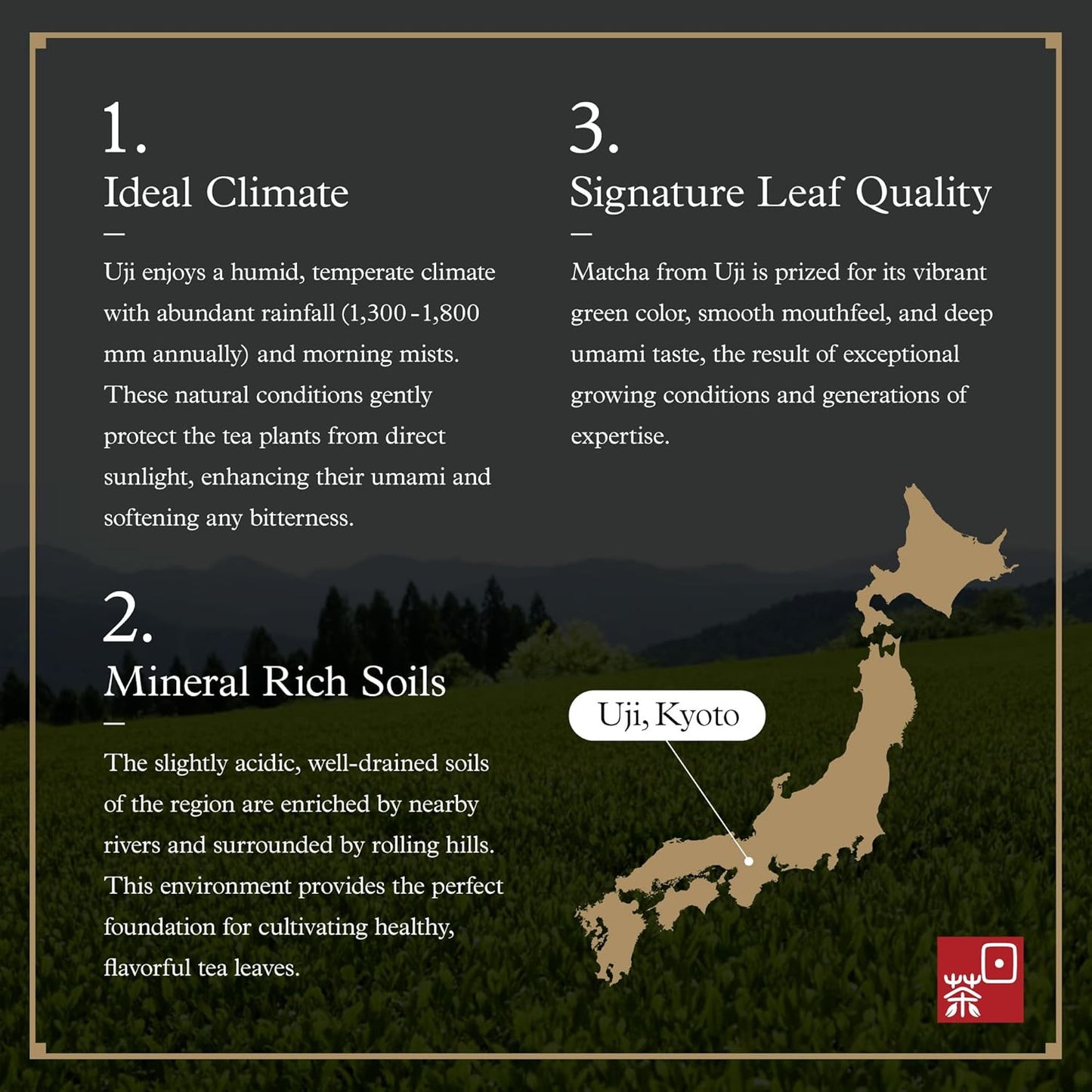 Ocha & Co. Kyoto Uji Matcha - Ceremonial Grade Matcha Powder - Highest Grade Traditional Stone Milled Japanese Matcha Green Tea Powder, 50g/1.75oz. | Ceremonial Grade, Highest Grade, Japanese