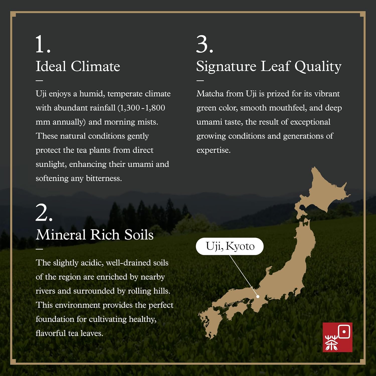 Ocha & Co. Kyoto Uji Matcha - Ceremonial Grade Matcha Powder - Highest Grade Traditional Stone Milled Japanese Matcha Green Tea Powder, 50g/1.75oz. | Ceremonial Grade, Highest Grade, Japanese