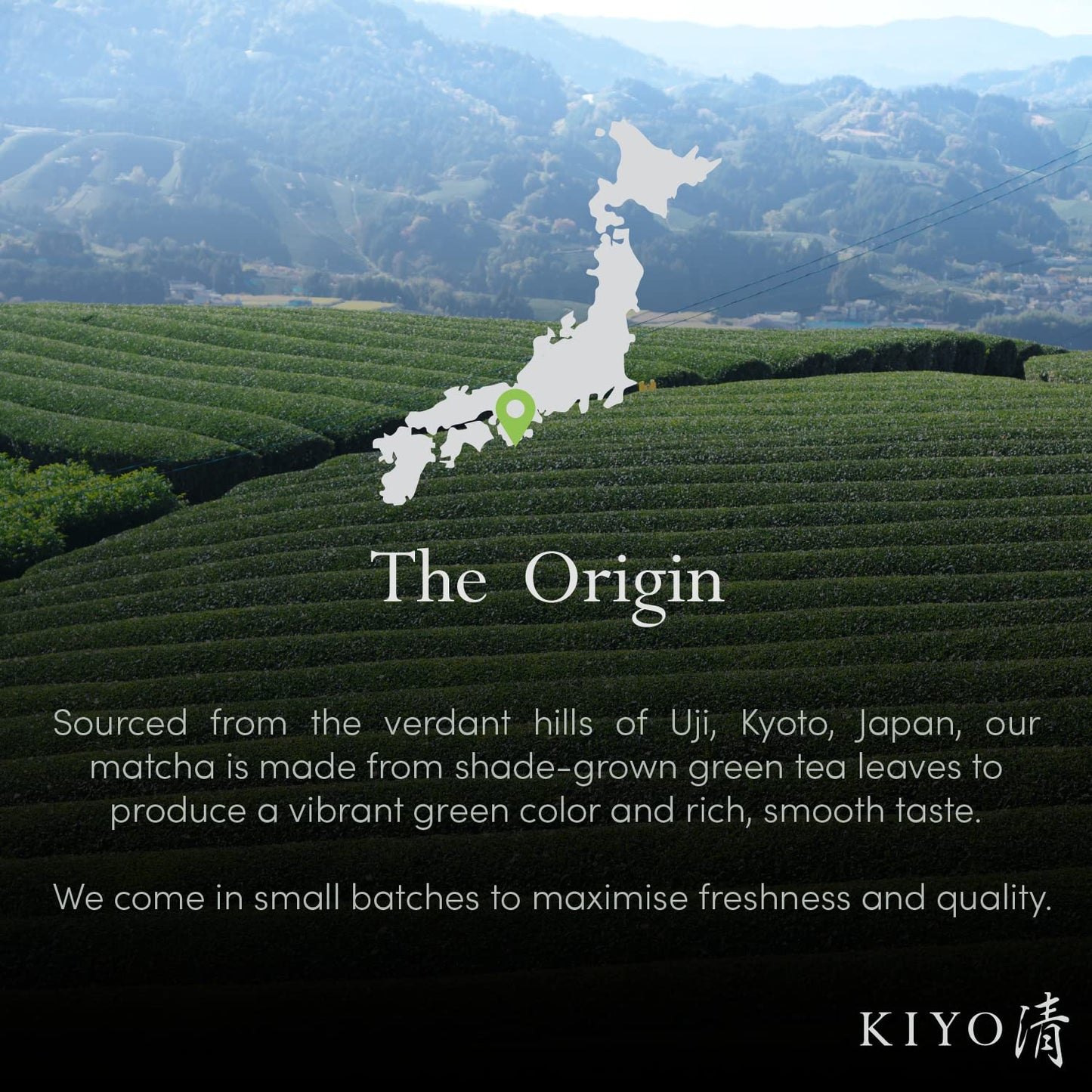 Kiyo Matcha Ritual Grade Wakyo Ceremonial Uji Matcha - Pure Japanese First Harvest Ceremonial Grade Matcha Green Tea Powder from Uji, Japan (40g/1.41oz)