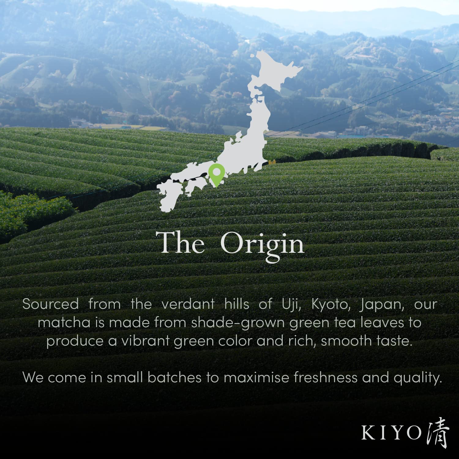 Kiyo Matcha Signature Grade Shuga Ceremonial Uji Matcha - Pure Japanese First Harvest Ceremonial Grade Matcha Green Tea Powder from Uji, Japan (40g/1.41oz)