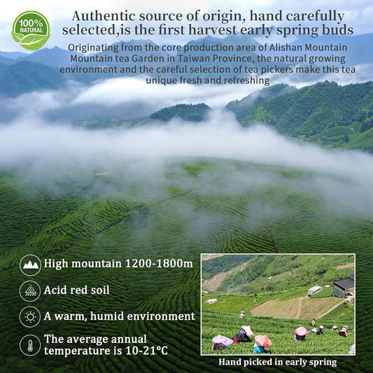 XIXICHA Alishan Taiwan High Mountain Oolong Tea 5.29oz/150g 阿里山 台湾乌龙茶 | high elevation tea，hand-picked oolong， small batch premium Loose Leaf tea，Floral and Fruity Aroma（120 cups），No additions