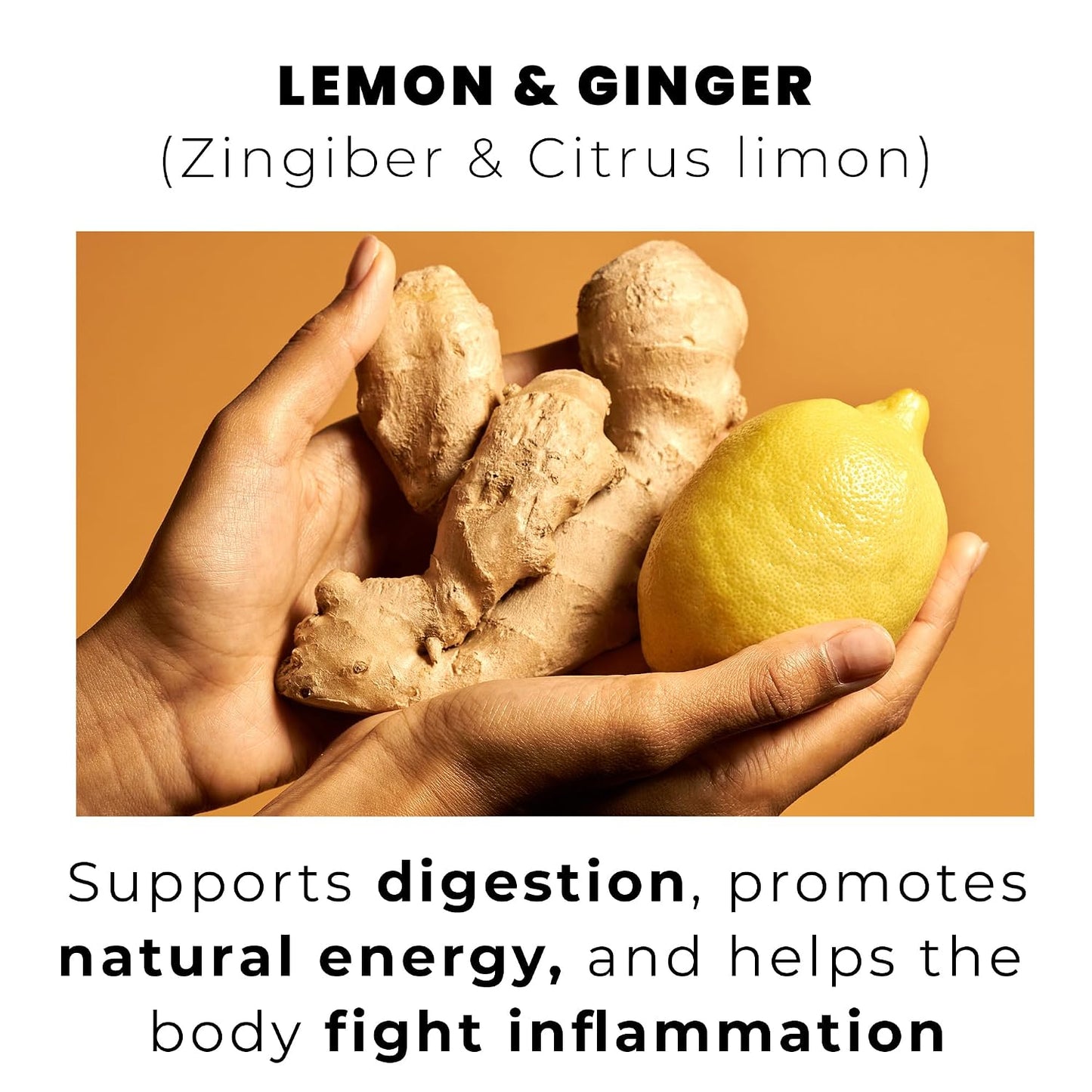 Yellow.fit Ginger Lemon Herbal Tea Bags – 1500mg Loose Leaf Tea Bags, Caffeine-Free Herbal Tea with Ginger Root &amp; Lemon Peel, Plant-Based Tea Bags, 100 Count