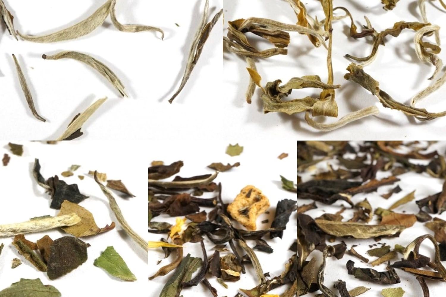 Beantown Tea & Spices - 15 Gourmet Samplers & 100 Filters Pack. Variety of Premium Loose Leaf Tea Samplers. Great Gift Idea and Stocking Stuffers. Green, White, Black and Herbal Teas.