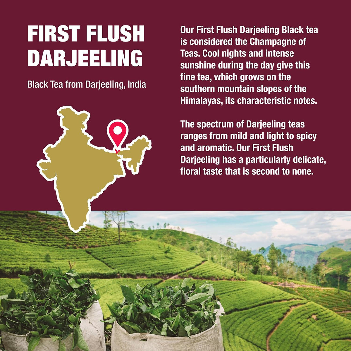 First Flush Darjeeling Black Tea Loose Leaf, India Single Origin Tea, 4oz
