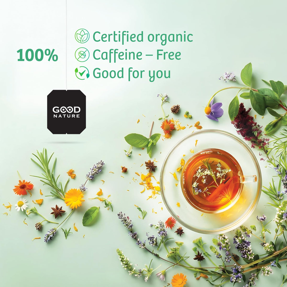 Good Nature Organic Nettle Herbal Tea, 20 Bags, Caffeine-free, 30 g
