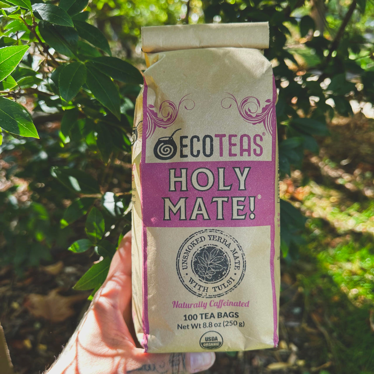 ECOTEAS Holy Mate! Organic Yerba Mate Tea Bags with Tulsi & Mint 100 Count